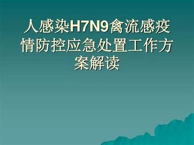 德陽青年海外新征程 網(wǎng)絡(luò)游戲推廣與技術(shù)服務(wù)機(jī)遇探索